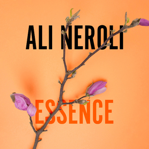 俏寡妇与她的爱犬免费阅读最新章节
